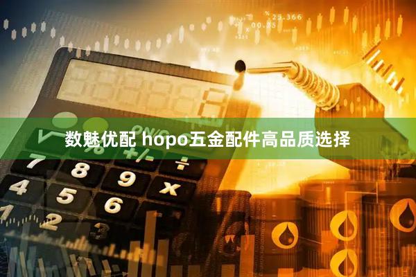 数魅优配 hopo五金配件高品质选择