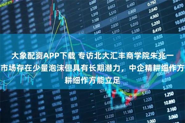 大象配资APP下载 专访北大汇丰商学院朱兆一：中东市场存在少量泡沫但具有长期潜力，中企精耕细作方能立足