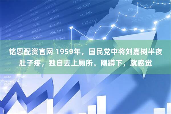 铭恩配资官网 1959年，国民党中将刘嘉树半夜肚子疼，独自去上厕所。刚蹲下，就感觉