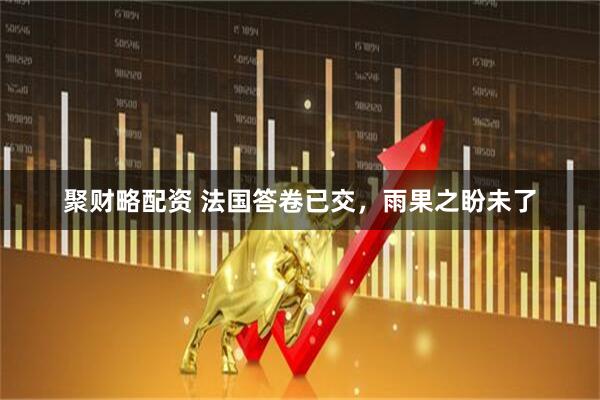 聚财略配资 法国答卷已交，雨果之盼未了
