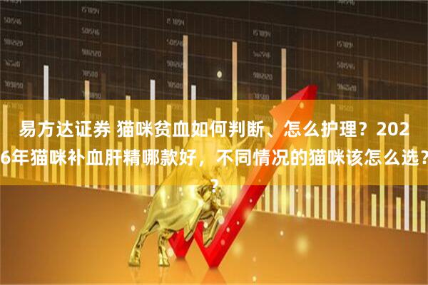 易方达证券 猫咪贫血如何判断、怎么护理？2026年猫咪补血肝精哪款好，不同情况的猫咪该怎么选？